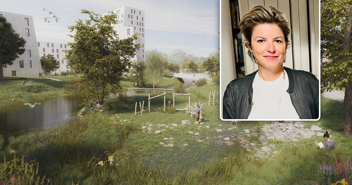 Voorbereidingen voor nieuwe sociale woonwijk De Vernieuwde Stad gaan ...