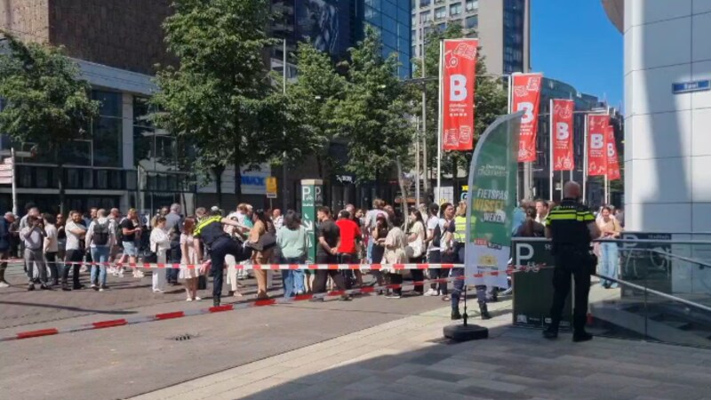 Crowds outside the city hall in The Hague.
