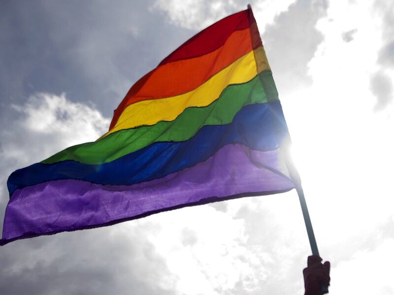 Volgens het hof rechtvaardigt het bestaan van strafrechtelijke bepalingen tegen homoseksuelen dat zij als een afzonderlijke groep worden beschouwd.