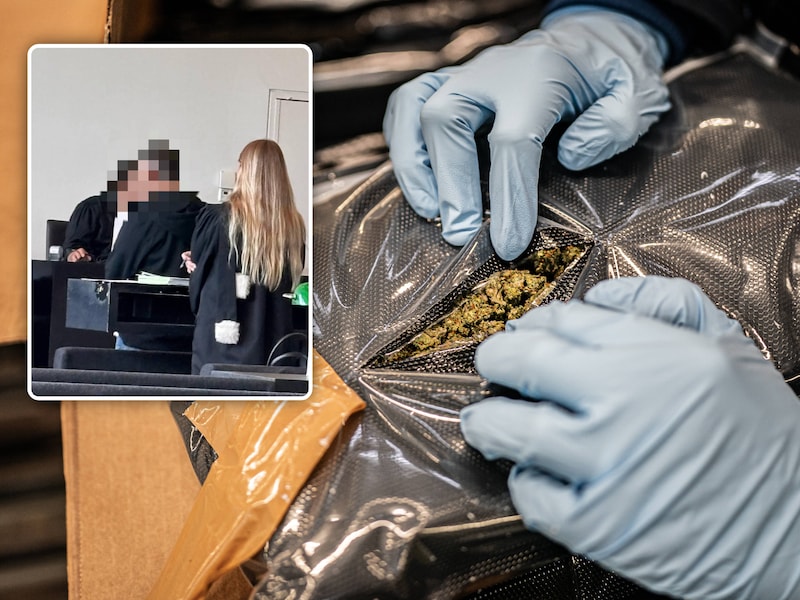 Vader (51) dealt cannabis om universitaire studies van dochters te betalen: “Mijn kinderen zijn mijn leven”