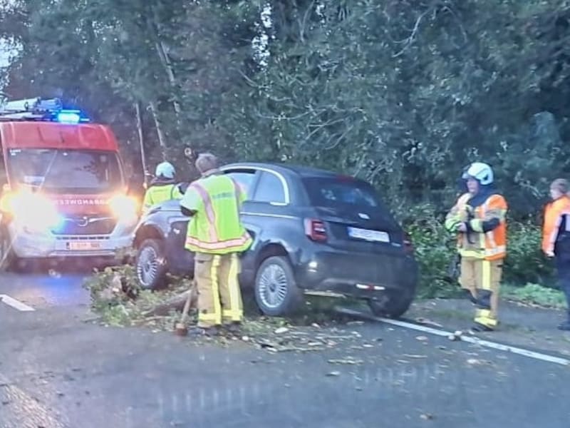 De boom viel op de rijbaan van de Iepersteenweg in Woumen.