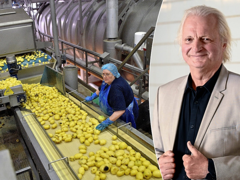 Onder meer bij ardappelverwerkend bedrijf Clarebout Potatoes zijn honderden jobs bedreigd. Arbeidsmarktexpert Jan Denys legt uit wat er aan de hand is.