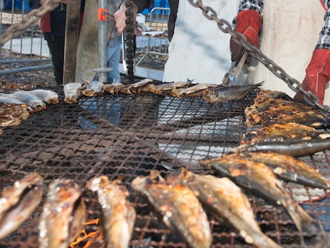 Kom smullen van vers gerookte haring in boomgaard pal in Zoerselbos