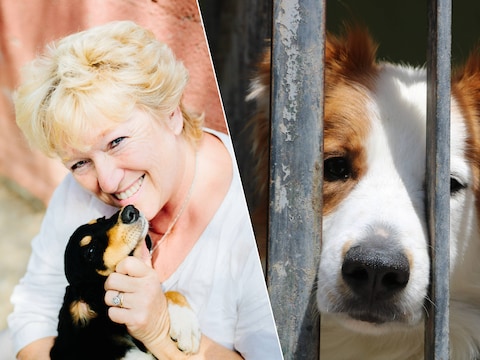 Fabienne Paques (60) met één van haar hondjes.