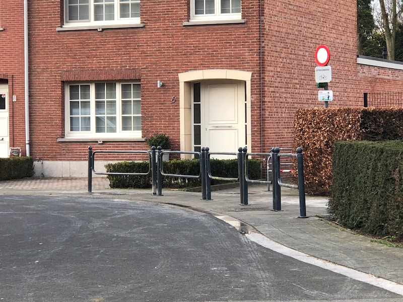 Twee nesten Aziatische hoornaars aangetroffen bij basisschool Delta: Naenackerpad tijdelijk dicht