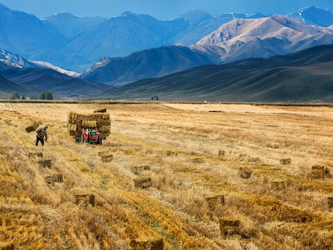 Een boer in Yili, in de Chinese regio Xinjiang.