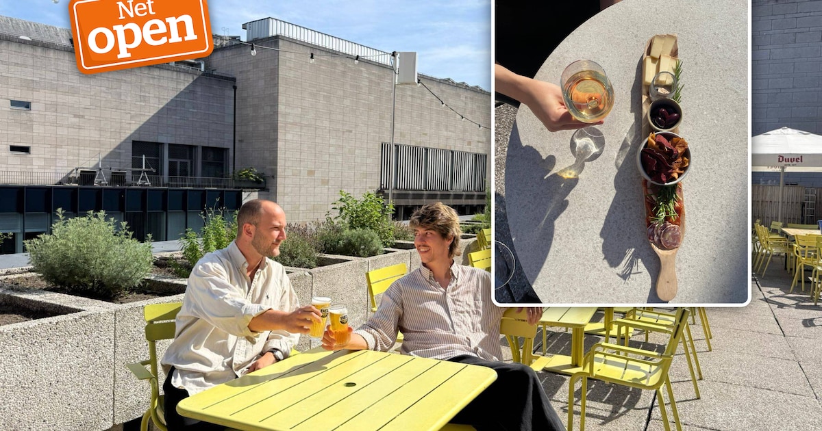 Nieuwste zomerplek van Brussel opent op het dak van de KBR: Albert ...