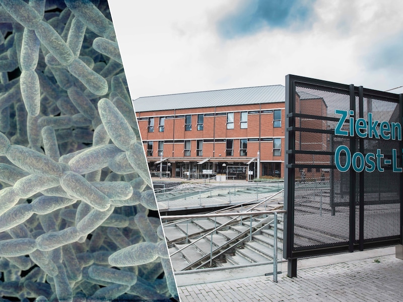 Legionella aangetroffen op kinderafdeling Ziekenhuis Oost-Limburg in Genk: “Waterpunt meteen afgesloten”