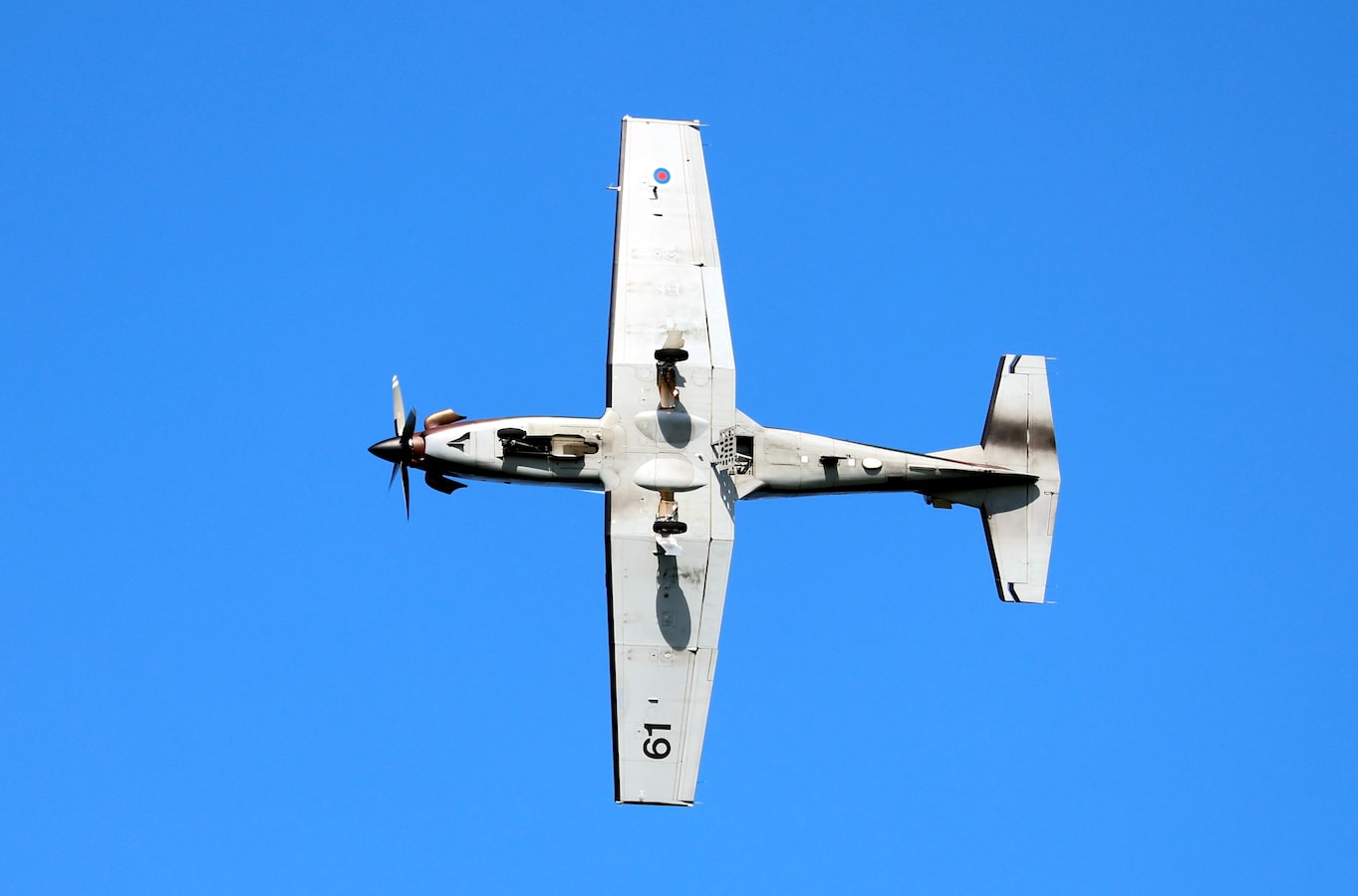 11 doden nadat luchtdoop van parachutespringers eindigt in tragedie: vliegtuigje  crasht naast woonwijk nabij Nancy | Foto | hln.be