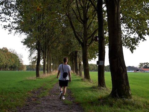Uilenbos Hove herfstwandeling