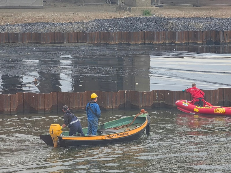 Aan het Lobroekdok heeft de Antwerpse brandweer een hert uit het water gehaald.