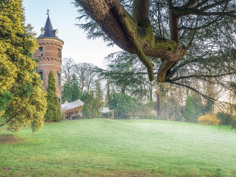 Begeleide wandeling op Veerkrachtpad helpt deelnemers ontspannen in Park van Breivelde