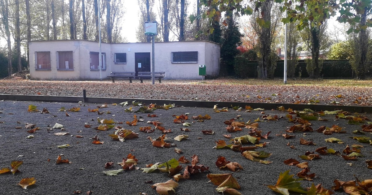 Subsidie van 100 000 euro voor Zorgzame Buurt: “Lokaal dienstencentrum ...