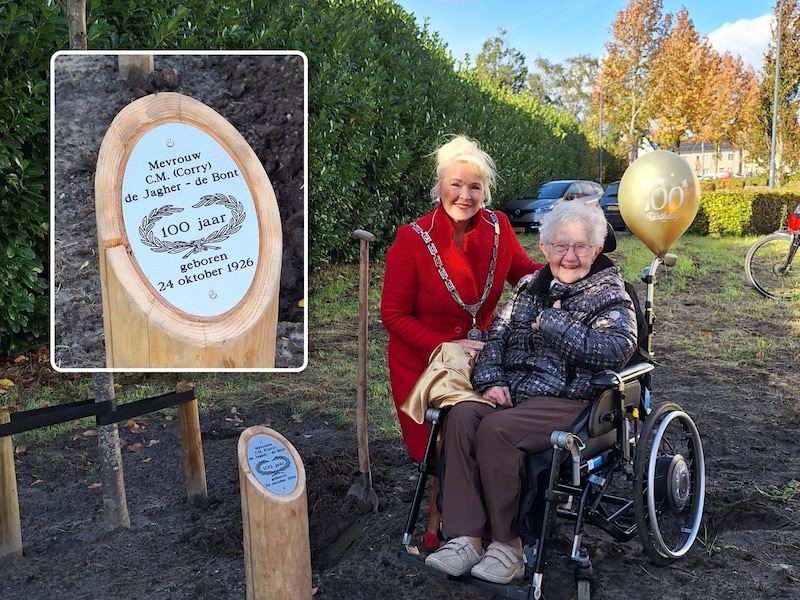 Corry plant haar eigen lindeboom in het 100-jarigen plantsoen in Baarle-Nassau, Inzet: Corry plant haar eigen lindeboom in het 100-jarigen plantsoen