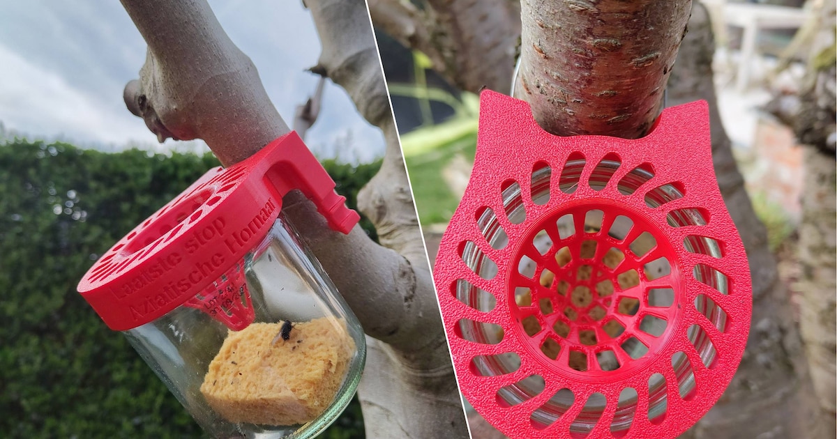 Groen&Co Wetteren lanceert actie ‘Stop de hoornaar’