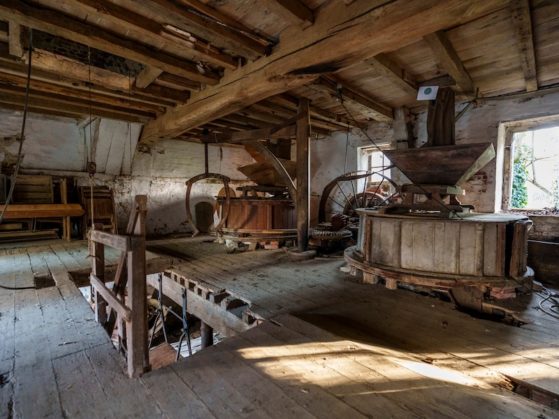 De Ruisbroekmolen houdt opendeurweekend in Bierbeek: fotozoektocht te voet en optreden van BeUK!
