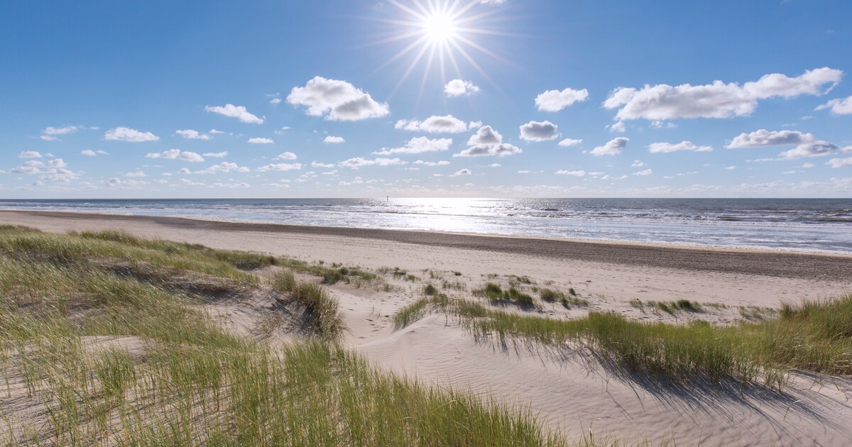 Aangespoelde lichaamsdelen op Texel na bijna drie jaar geïdentificeerd: slachtoffers waren Afghaanse