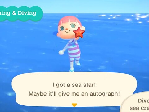 ‘Animal Crossing’-update