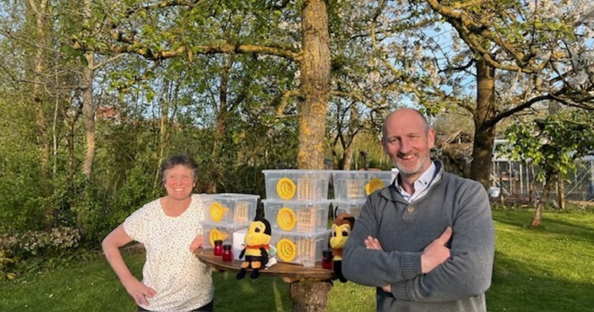 Gemeente bindt strijd aan met Aziatische hoornaar