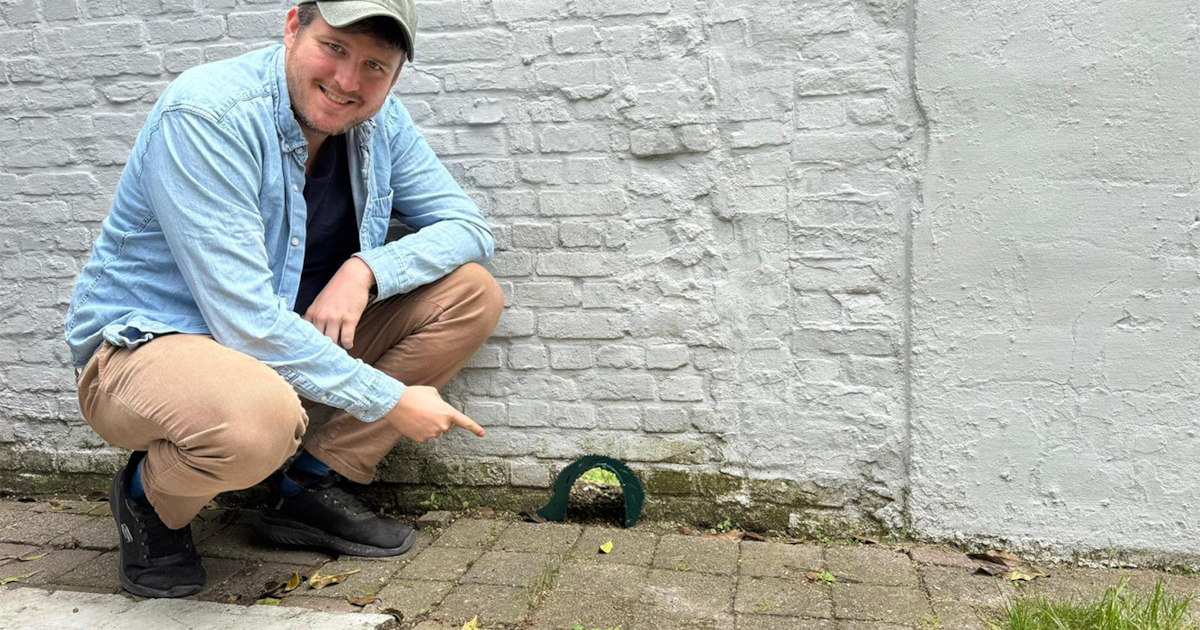 “Met een kleine ingreep kan je echt een groot verschil maken”: Deurne geeft egelpoortjes weg