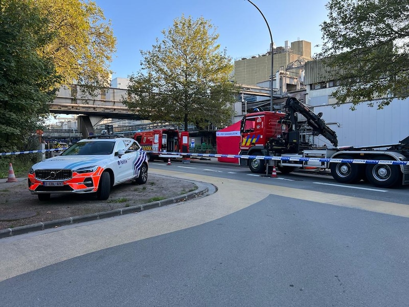 Er is zondagavond een lichaam aangetroffen in de Dender in Aalst. De hulpdiensten zijn massaal ter plaatse.