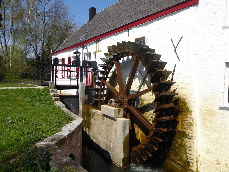 Open Monumentendag zet met Prinsenkasteel en Oyenbrugmolen Grimbergs erfgoed in de kijker