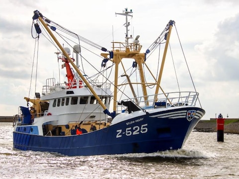 De Z525 Sylvia-Mary.