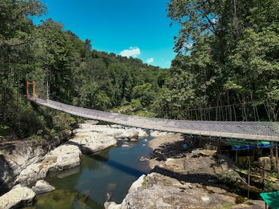 “Ze lachten nog naar de camera”: twee Oostenrijkse toeristen dood nadat hangbrug bij populaire waterval in Indonesië instort