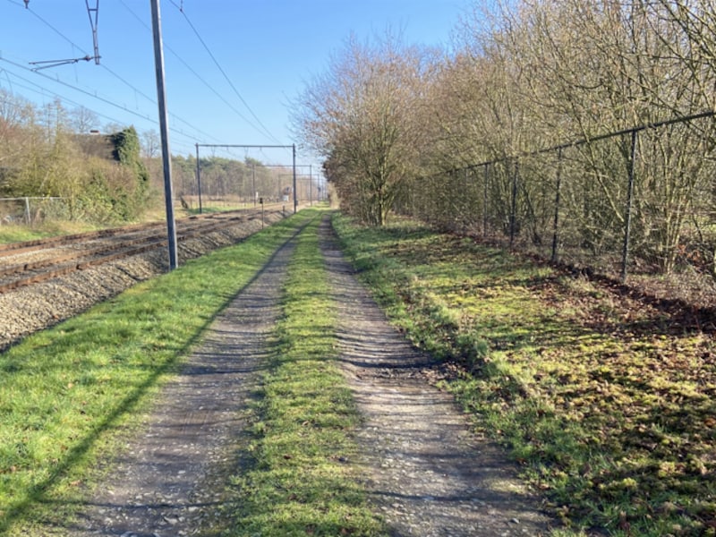 Op deze plek ter hoogte van de Dijkstraat in Bouwel moet de nieuwe fietsostrade F103 verschijnen.