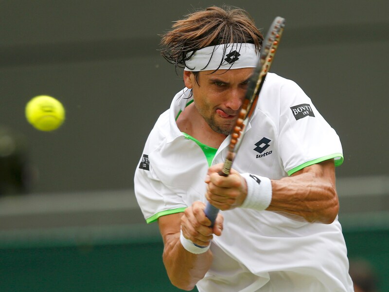 David Ferrer.