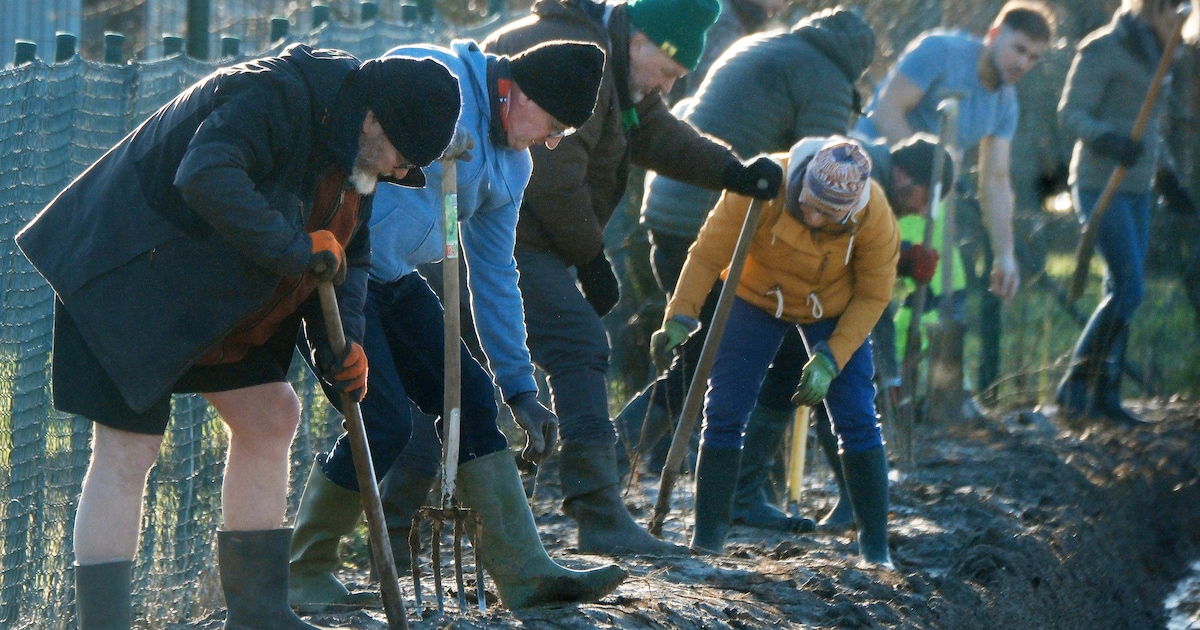 Ruim 2.700 bomen geplant aan groeve Mullier op grens Aalbeke–Moeskroen