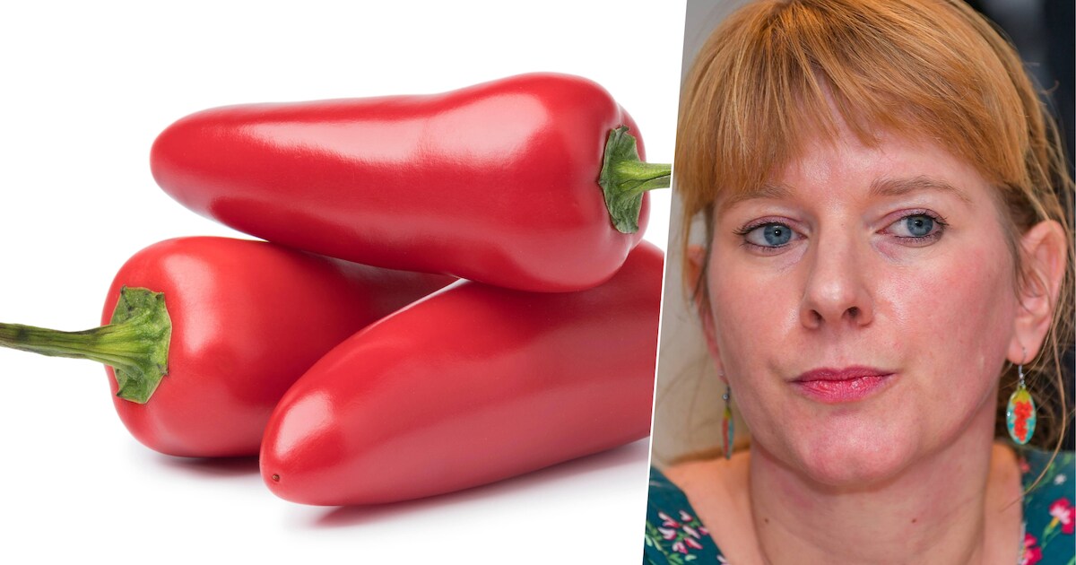 Ouders staan terecht voor onmenselijke behandeling van hun kinderen ...