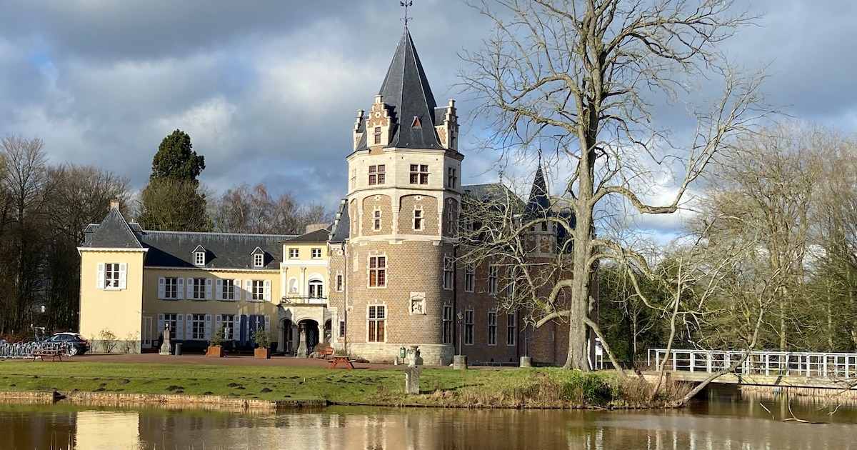 Boekenmarkt in kasteel de Renesse in Malle op 23 augustus
