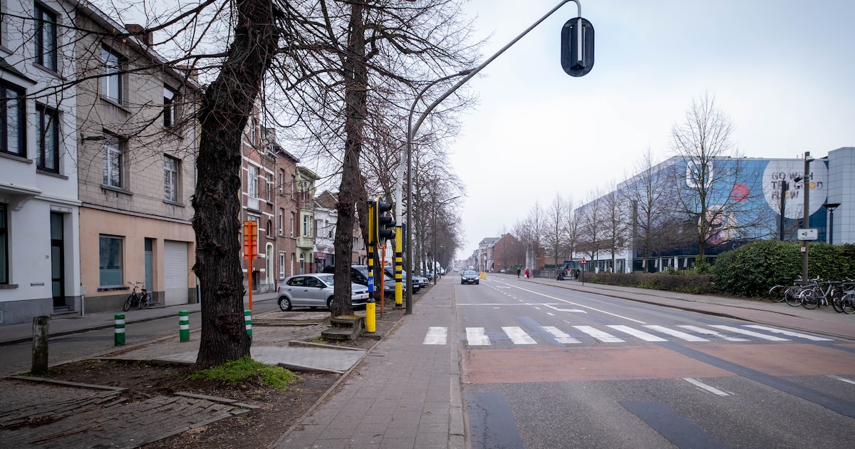 Ventweg Liersesteenweg wordt fietsstraat: “Zo anticiperen we op de definitieve heraanleg”