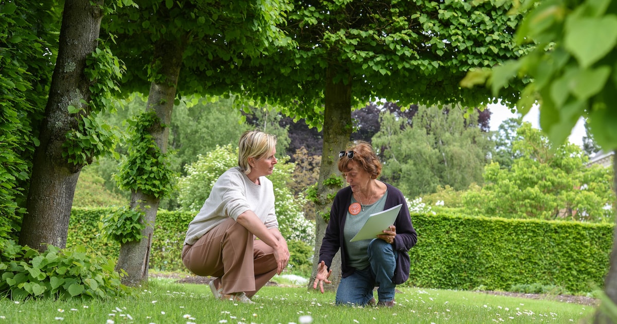 Tuinrangers geven gratis advies over fruitbomen in Schelle