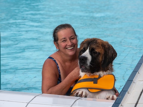 Openluchtzwembad Warande exclusief voor honden en baasjes