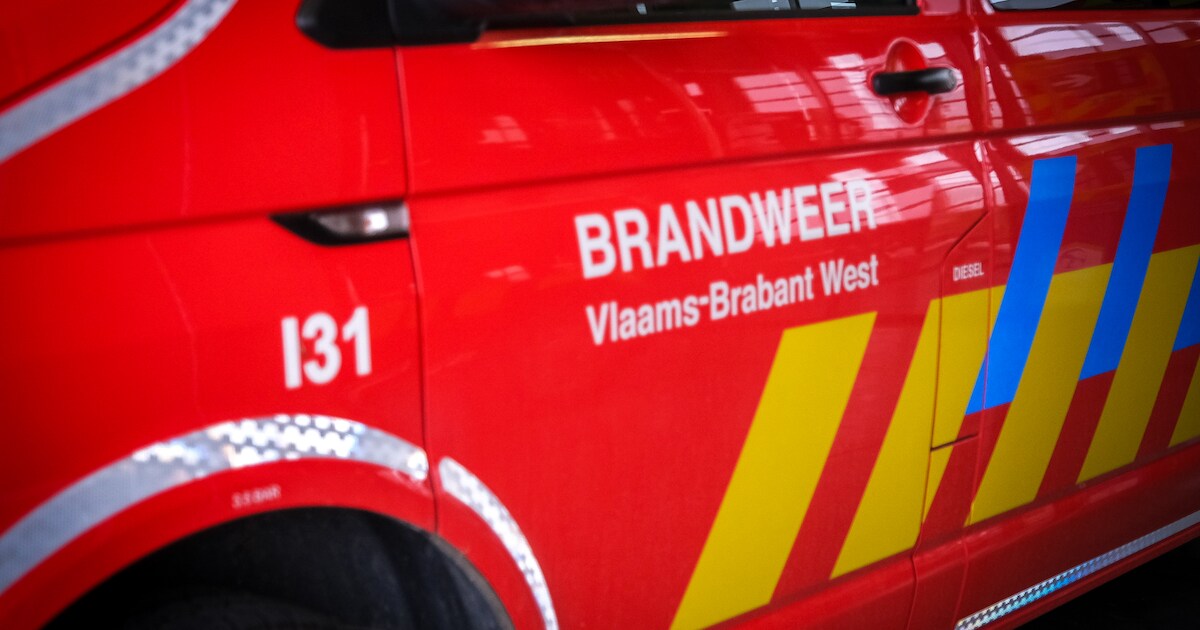 Brandweer rukt uit voor bedrijfsbrand bij D’Ieteren, maar bij aankomst blijkt alleen batterij te sme