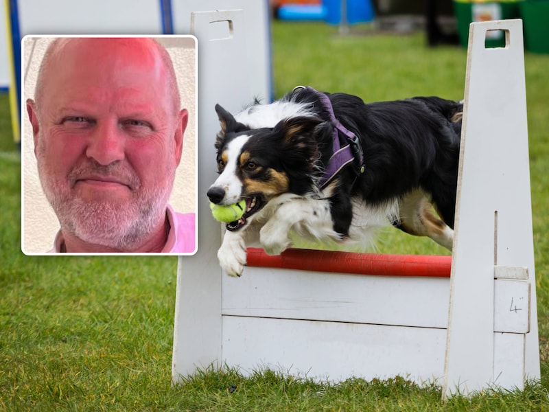 Themabeeld: Flyball is een razendsnelle hondensport waarbij teams van vier honden het tegen elkaar opnemen in een estafetterace. Twee rivaliserende Limburgse clubs leven nu op gespannen voet met elkaar na een positieve dopingtest. Inzet: voorzitter Willy Van Roten van de Vergadering der Afgevaardigden.