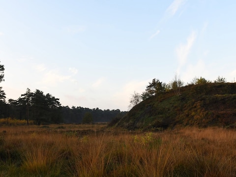 Vrijdag ontploffingen te horen op Groot Schietveld: DOVO voert noodvernietigingen uit