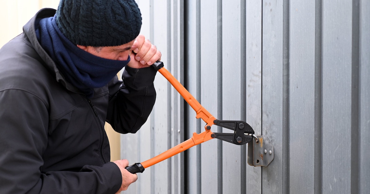 Zaagmachine gestolen uit tuinhuis