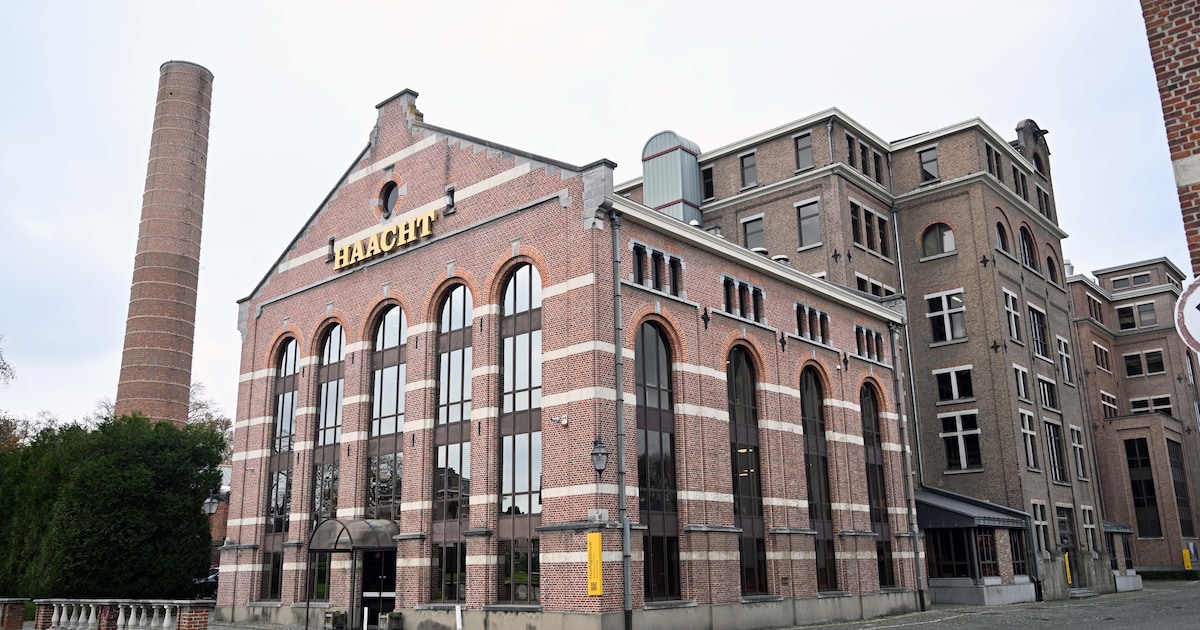 Derde ontslagronde bij Brouwerij Haacht in één jaar tijd | Haacht | HLN.be