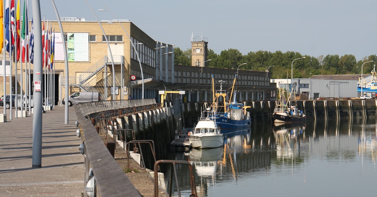 Hulpdiensten zoeken tijdlang naar mogelijk slachtoffer in Ijzer in Nieuwpoort nadat iemand ‘meisje o