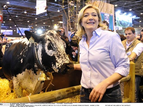 Volgens een peiling speelt Le Pen, Sarkozy naar huis in de eerste ronde van de presidentsverkiezingen die er volgend jaar aankomen.