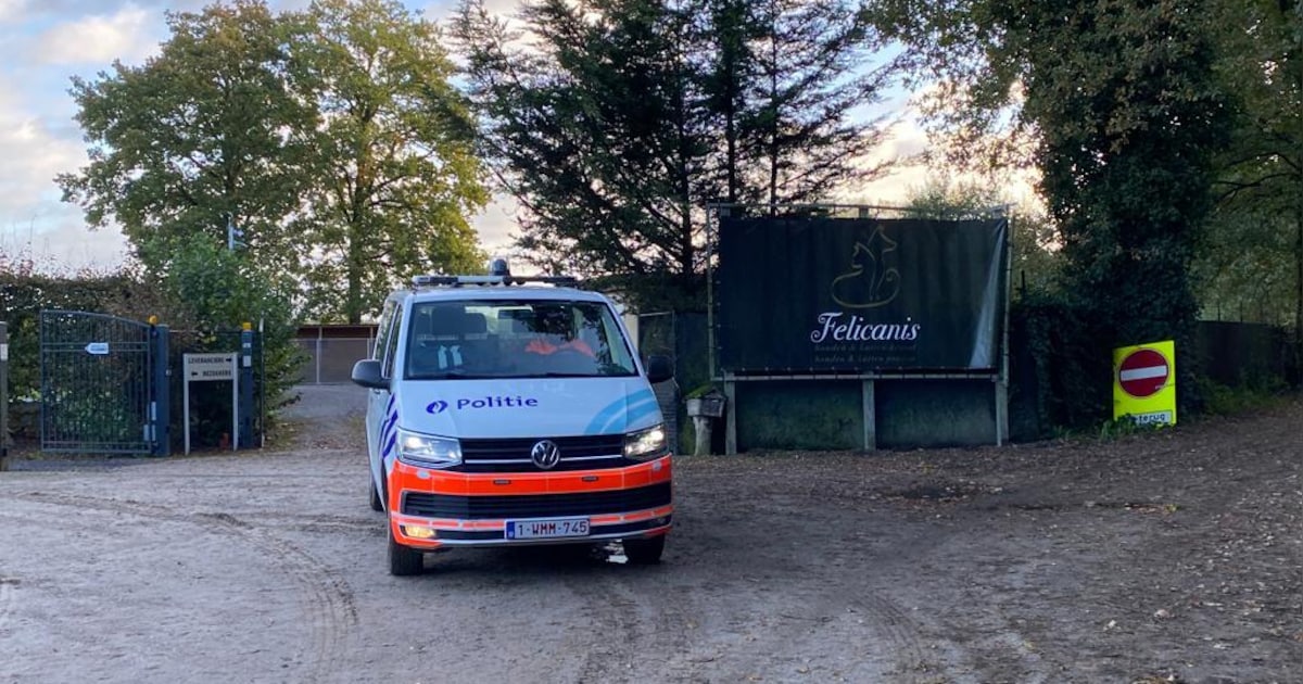 Uitbaters honden- en kattenkwekerij Hoeve Hoogland veroordeeld: zieke dieren verkocht en klanten mis