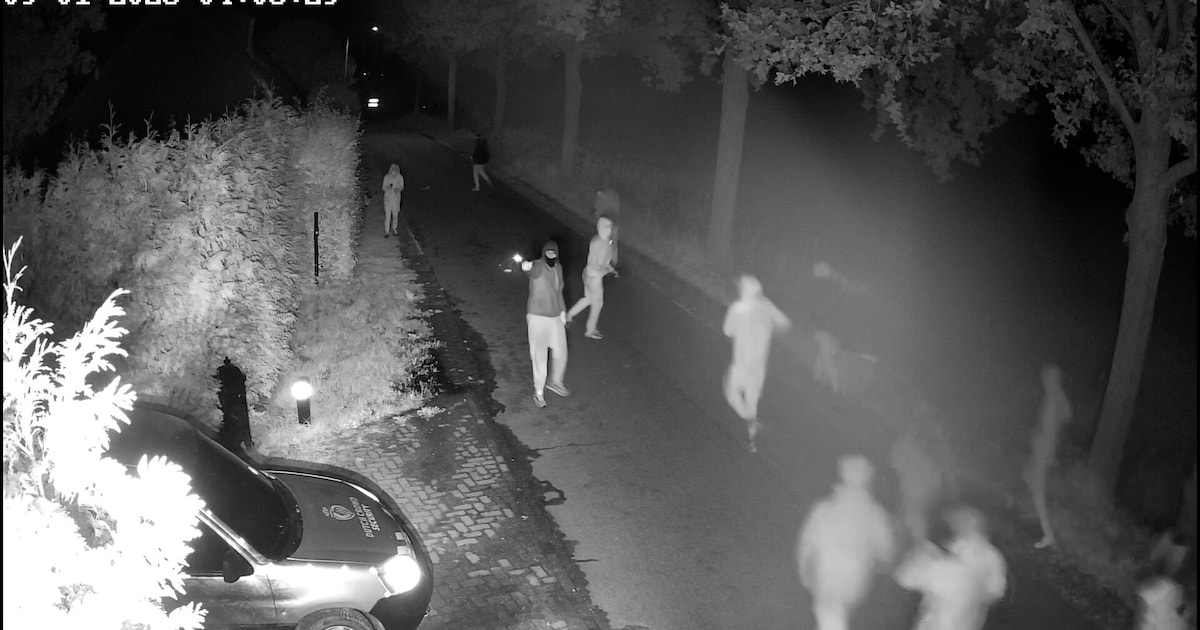 KIJK. Nieuwe beelden schietpartij Overasselt: man schiet richting bewakingscamera