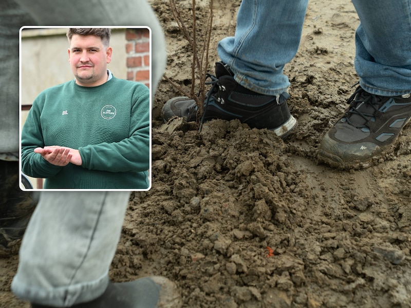 Schepen Samuel Billens roept inwoners op om mee te helpen bij de aanplant van 1.650 bomen en struiken in Tollembeek.