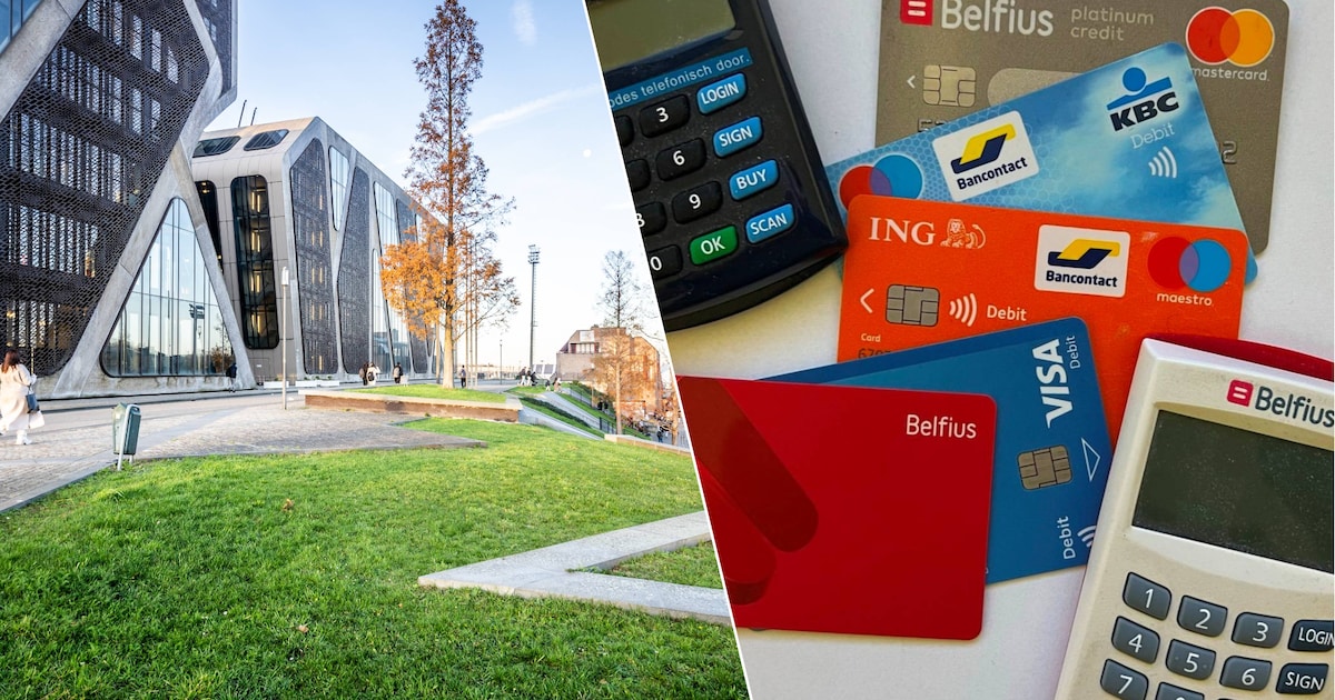 Nederlandse meesteroplichter veroordeeld tot 40 maanden cel