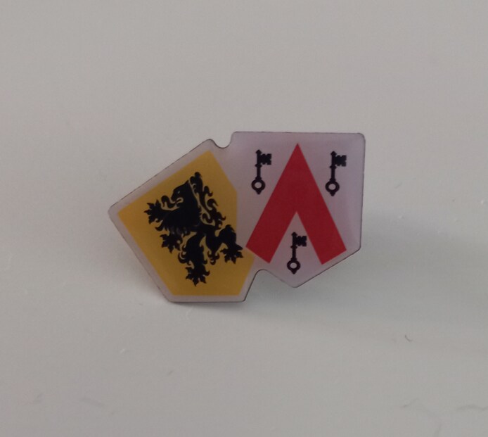 Vlaams Belang Tielt deelt pins uit aan wie leeuwenvlag uithangt | Tielt ...