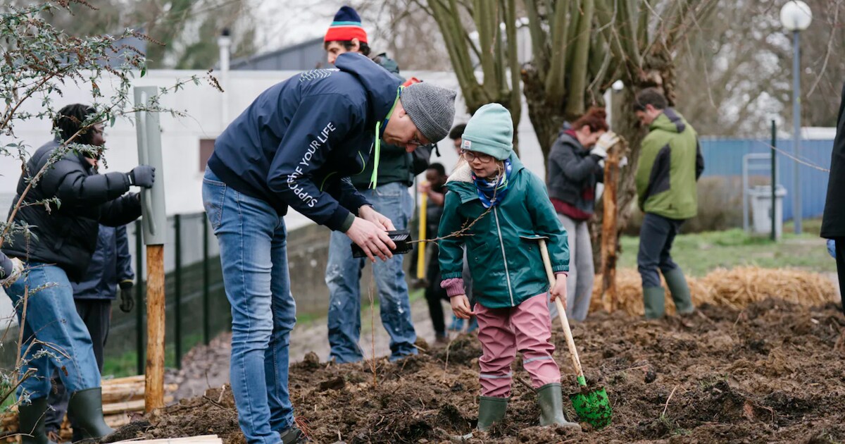 Leerlingen planten microbos op speelplaats van GO! Basisschool Zavelberg