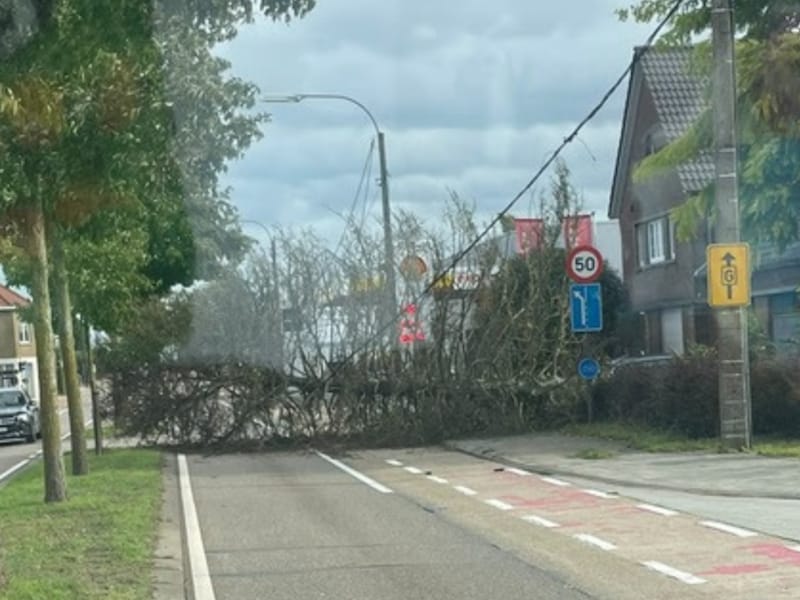 Ook in Limburg is de eerste stormschade gemeld. 